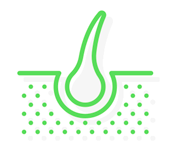 dermatologo veterinario